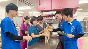 川崎にある動物病院_アニマルメディカルセンター診療の様子